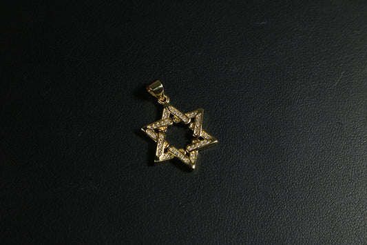 Estrella de David ICE